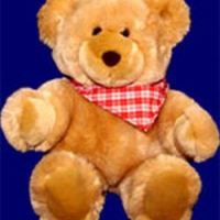 24" Brown Teddy Bear.