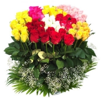 100 Mixed Roses BUNCH